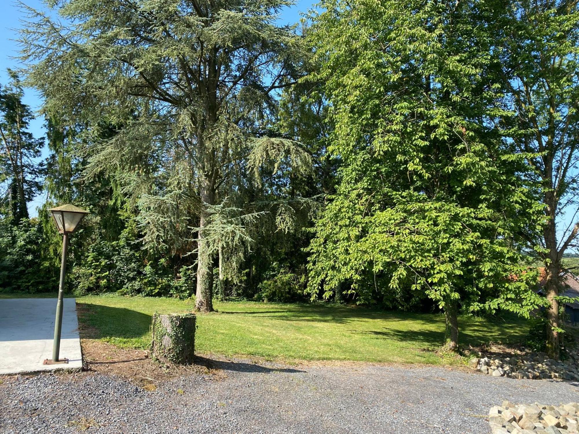 Au Cedre Bleu Villa Carnoy Exterior photo